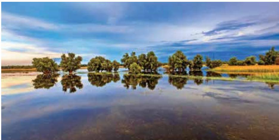 Green Croatia image