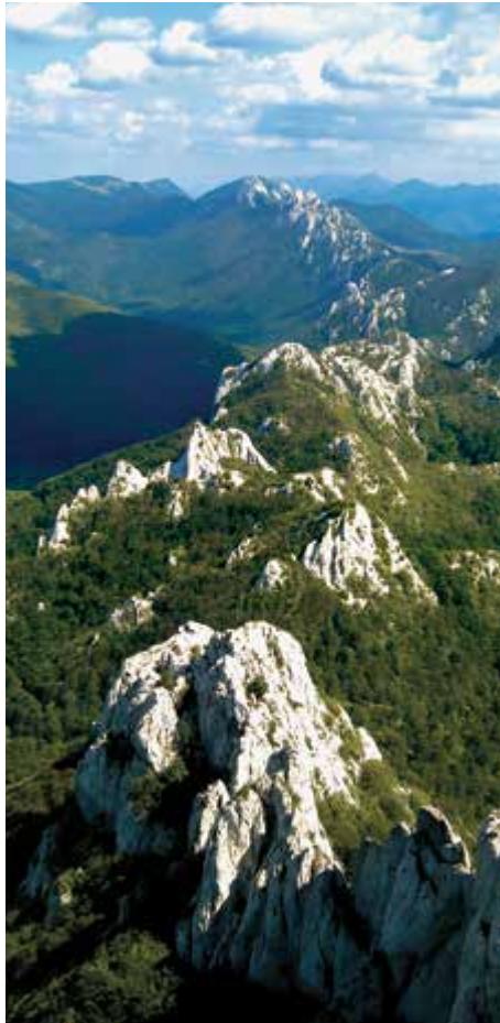 Green Croatia image