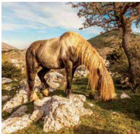 Green Croatia image