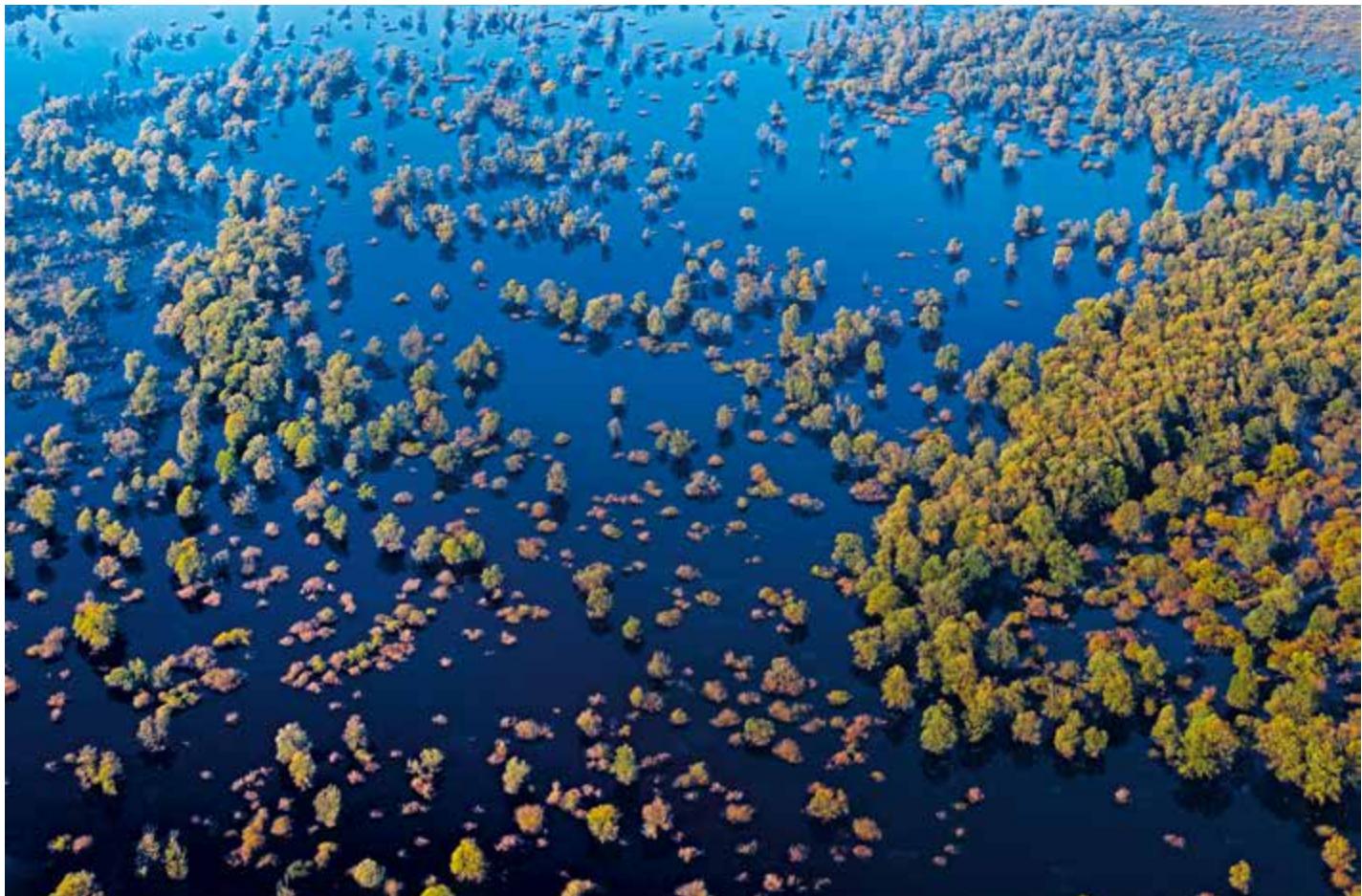 Green Croatia image