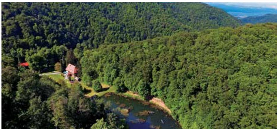 Green Croatia image