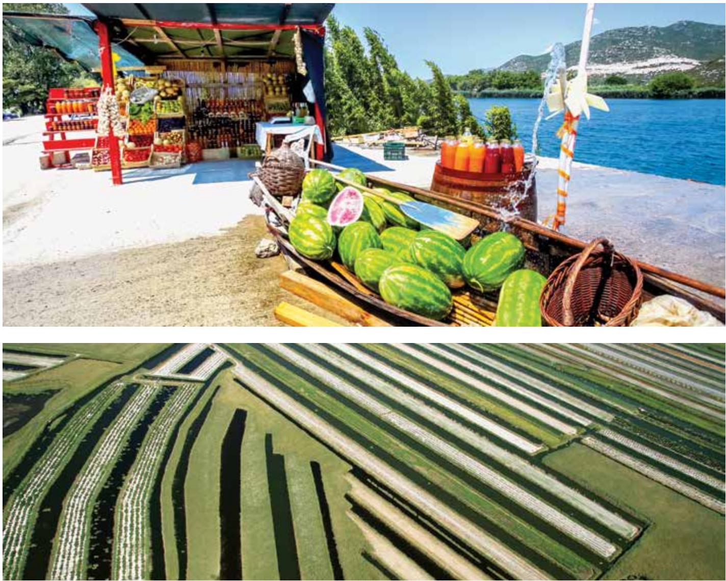 Green Croatia image