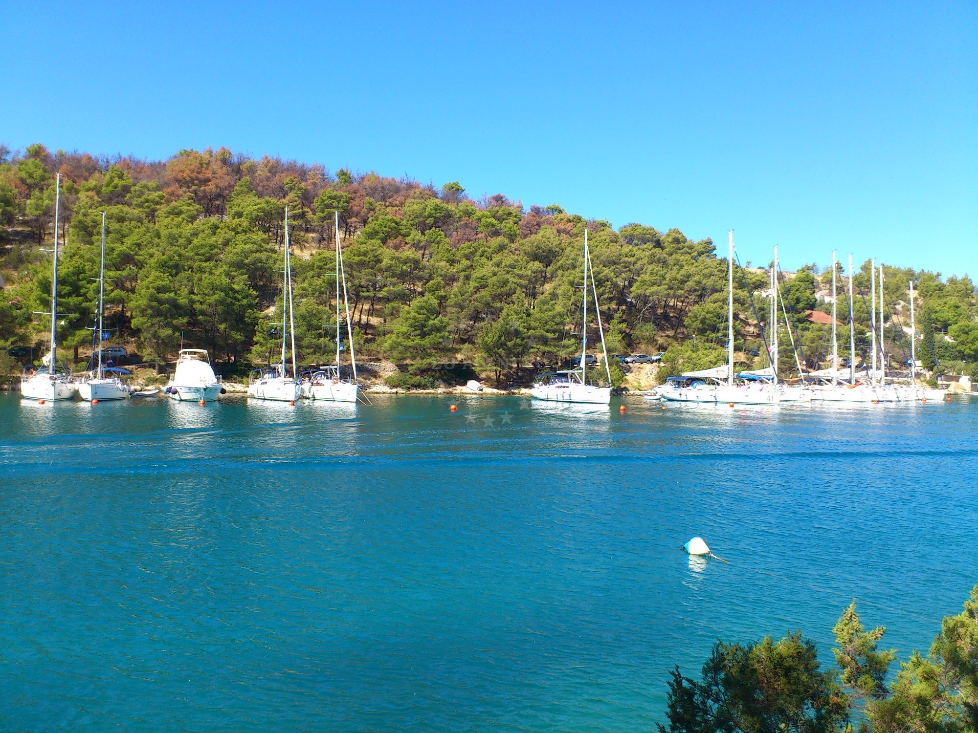 Buoy field in Bobovisca, Brač with 16 mooring points