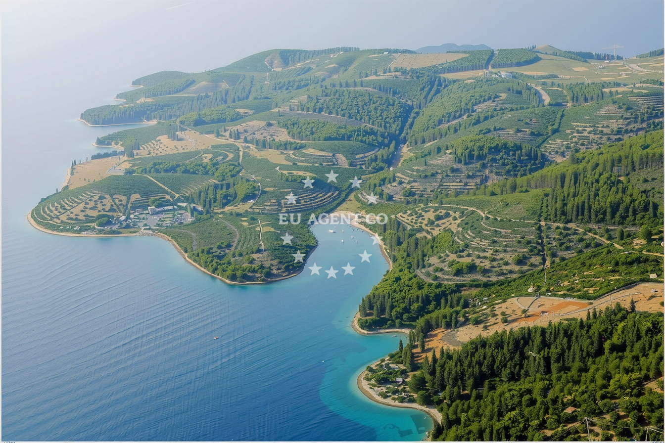 Additional view of Buoy field in Buoy field in Bol on the island Brač, Central Dalmatia, Croatia photo 7