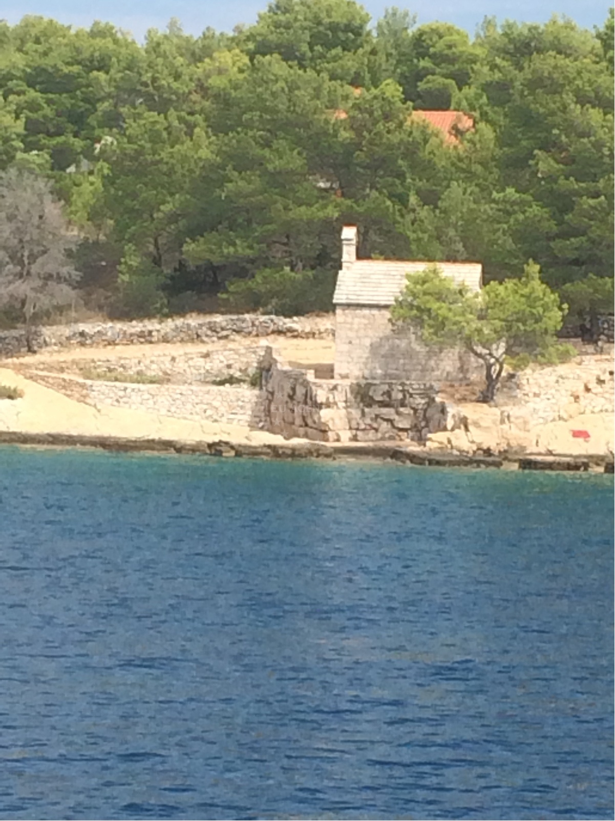 Sheltered bay with green pine trees, Osibova, Brač
