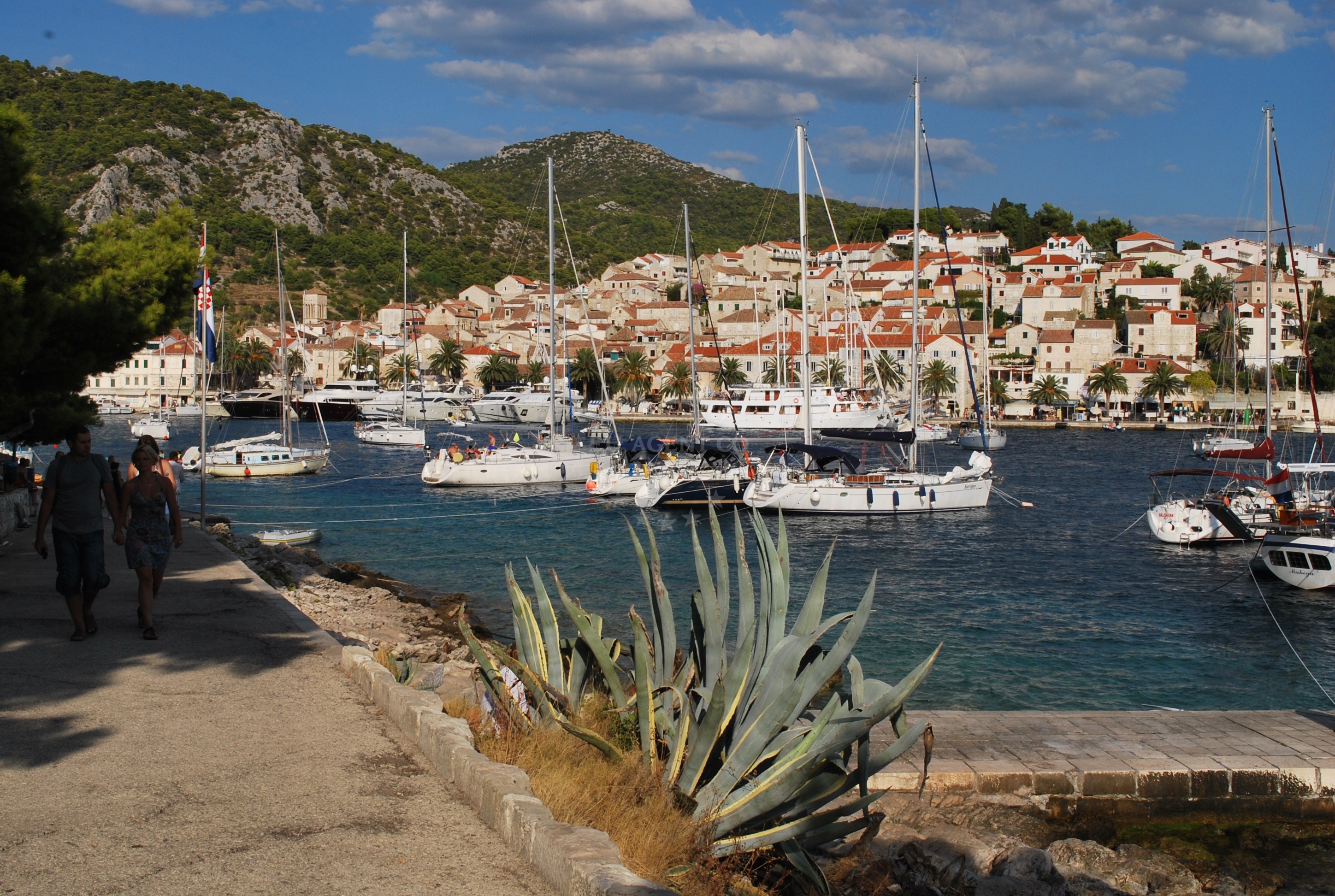 Buoy field in Hvar, Central Dalmatia, Croatia
