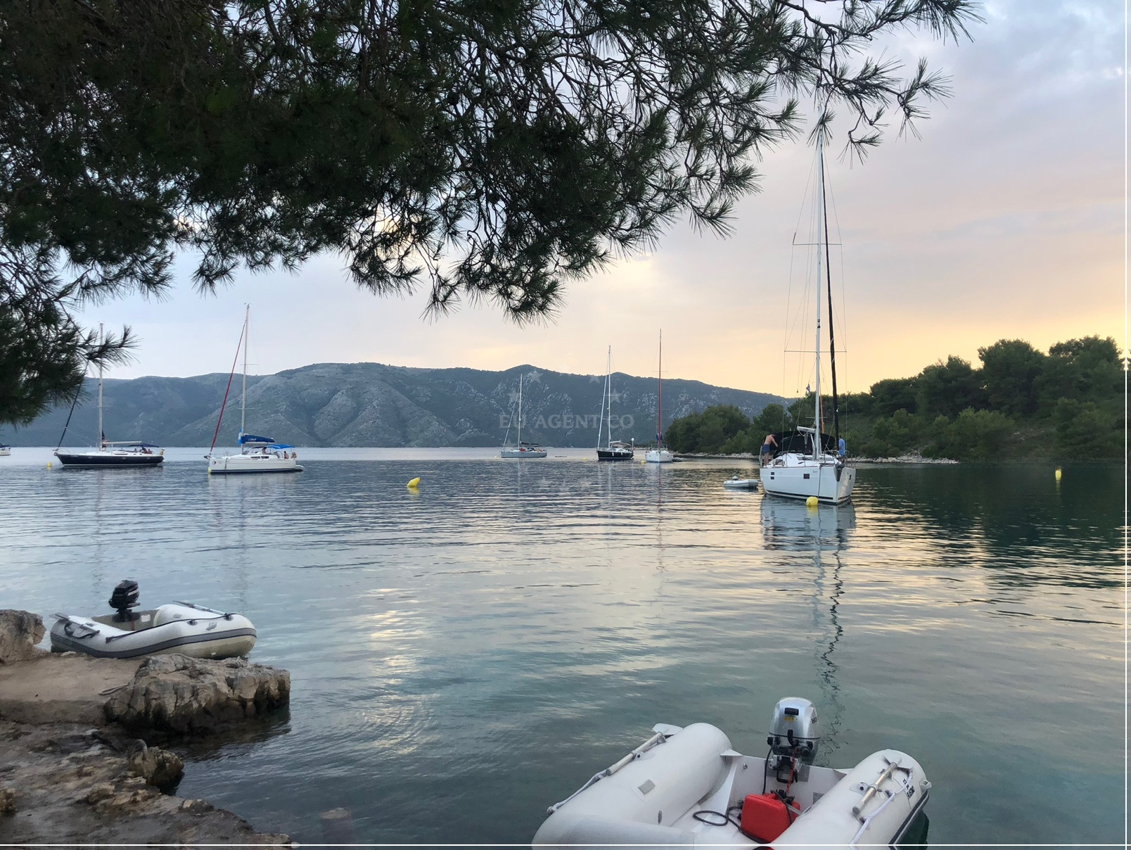 Additional view of Buoy field Stari Grad in Buoy field in Stari Grad on the island Hvar, Central Dalmatia, Croatia photo 5