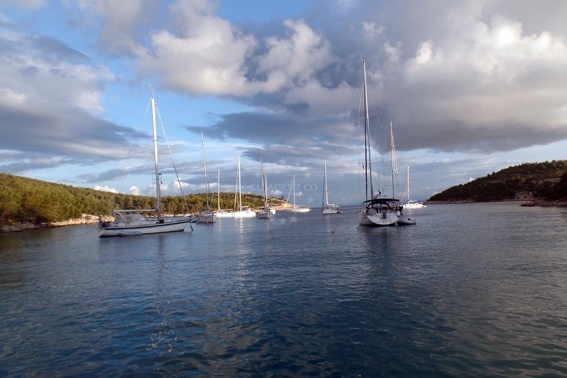 Additional view of Konoba Arsenol Buoy field in Buoy field in Vira on the island Hvar, Central Dalmatia, Croatia photo 14