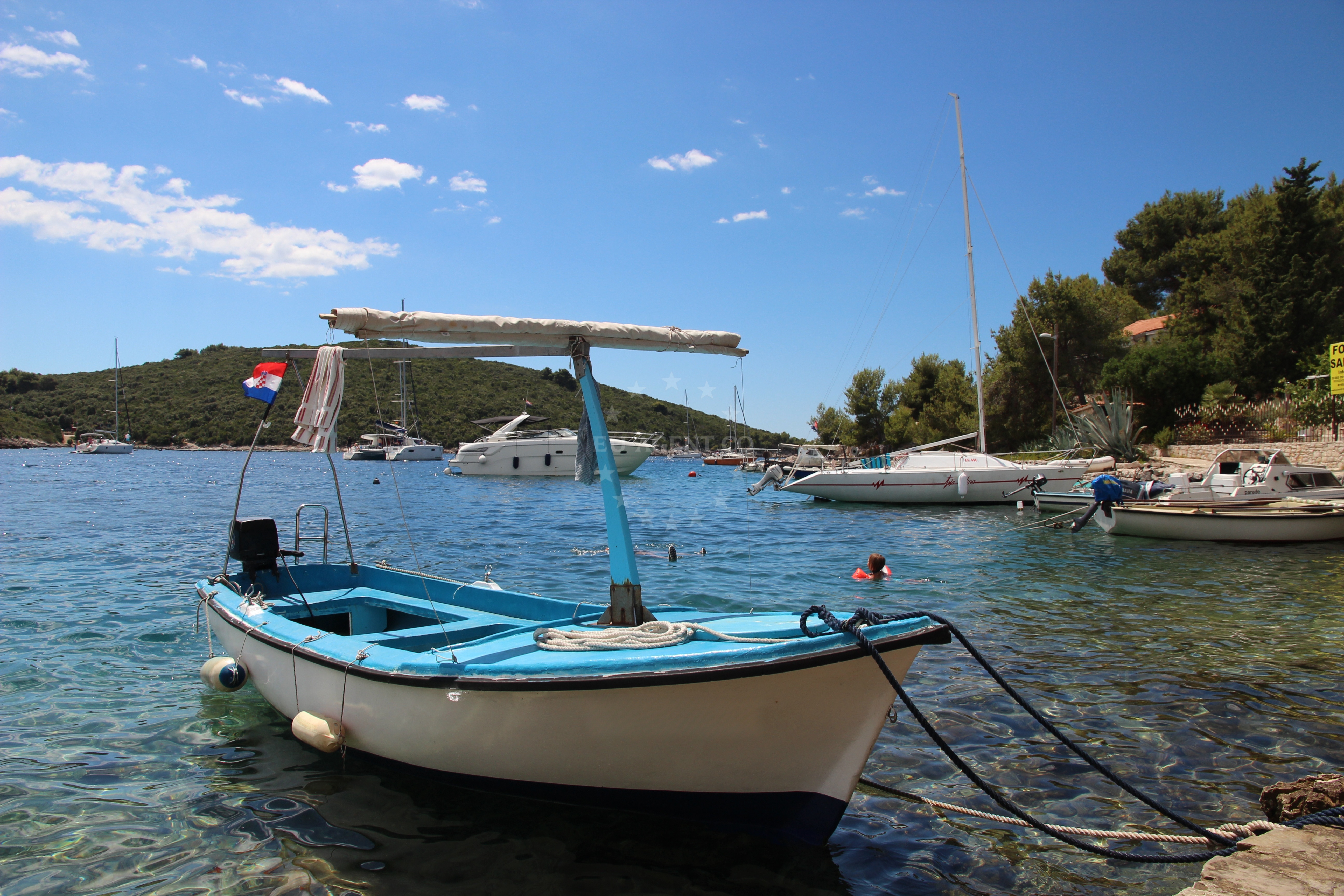 Additional view of Konoba Sesula mooring buoy field in Buoy field in Maslinica on the island Šolta, Central Dalmatia, Croatia photo 9
