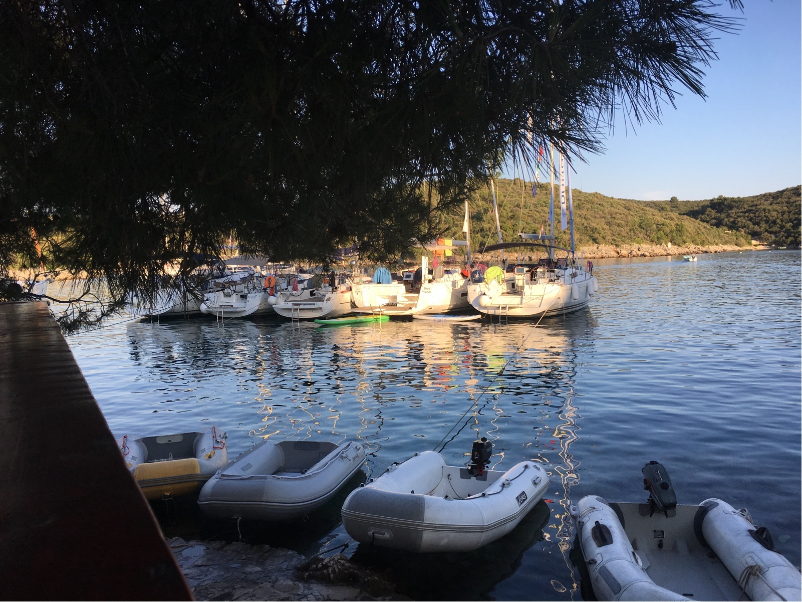 Additional view of Konoba Sesula mooring buoy field in Buoy field in Maslinica on the island Šolta, Central Dalmatia, Croatia photo 12