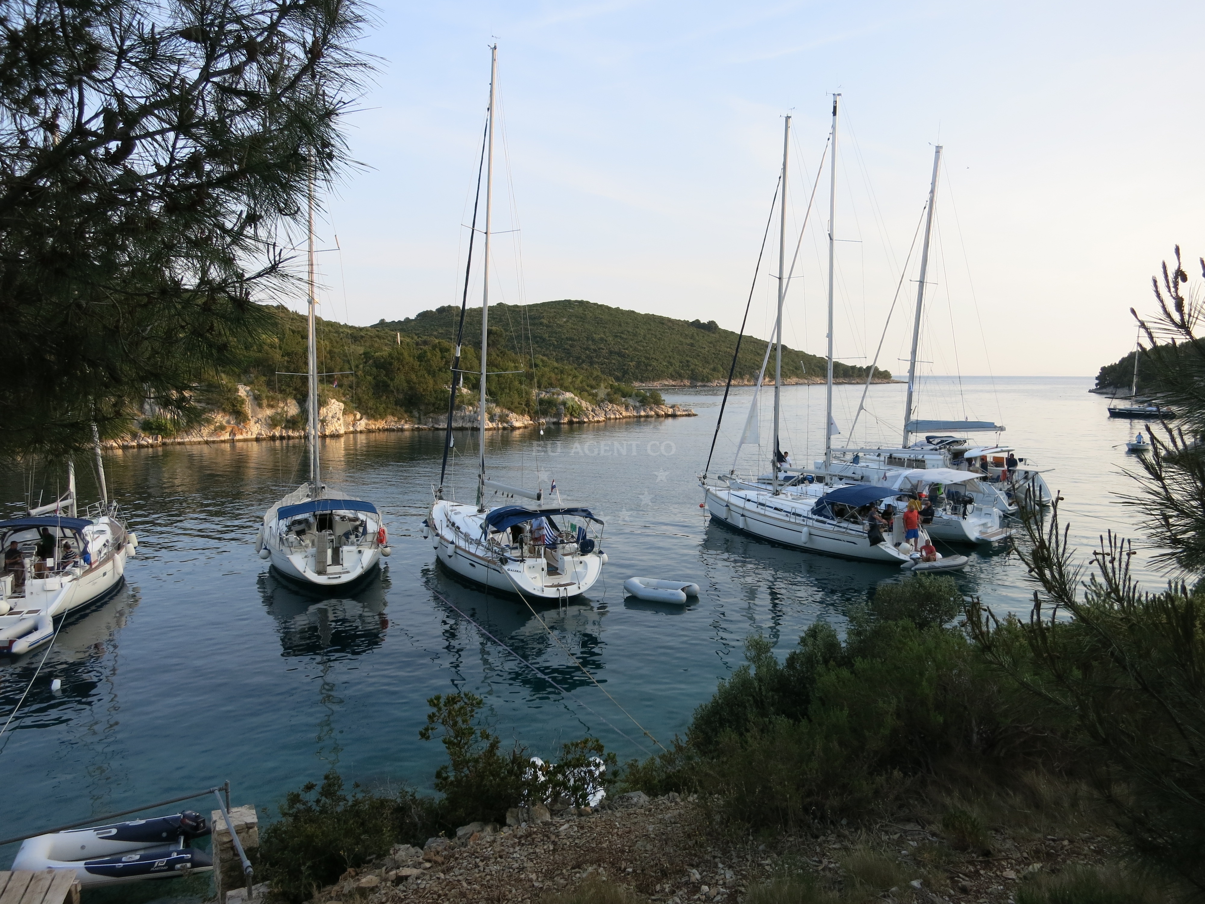 Additional view of Restaurant Sismis buoys buoy field in Buoy field in Maslinica on the island Šolta, Central Dalmatia, Croatia photo 6
