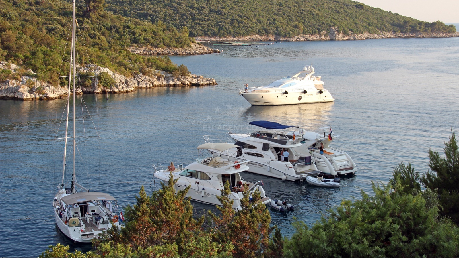 Additional view of Restaurant Sismis buoys buoy field in Buoy field in Maslinica on the island Šolta, Central Dalmatia, Croatia photo 12