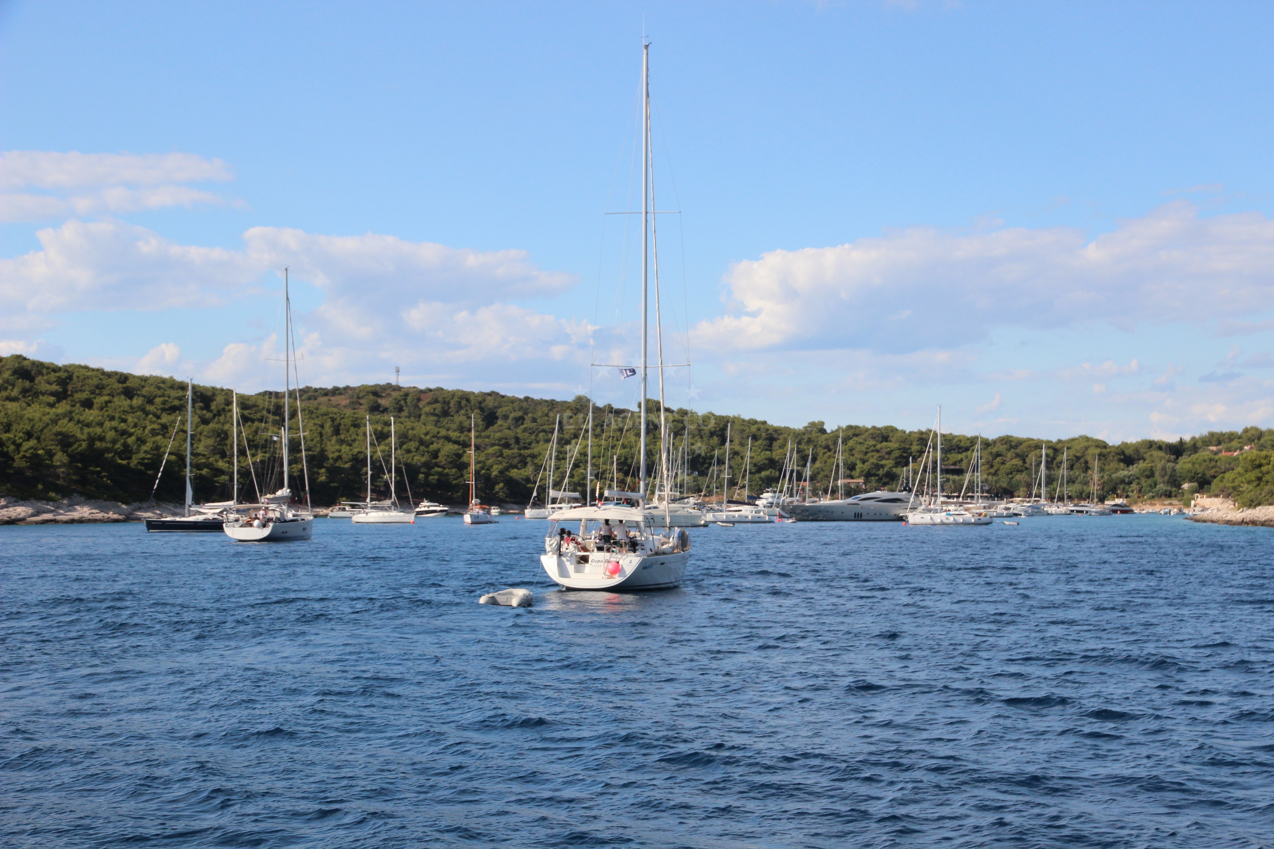 Boats moored at the licensed buoy field in Vinogradisce Bay