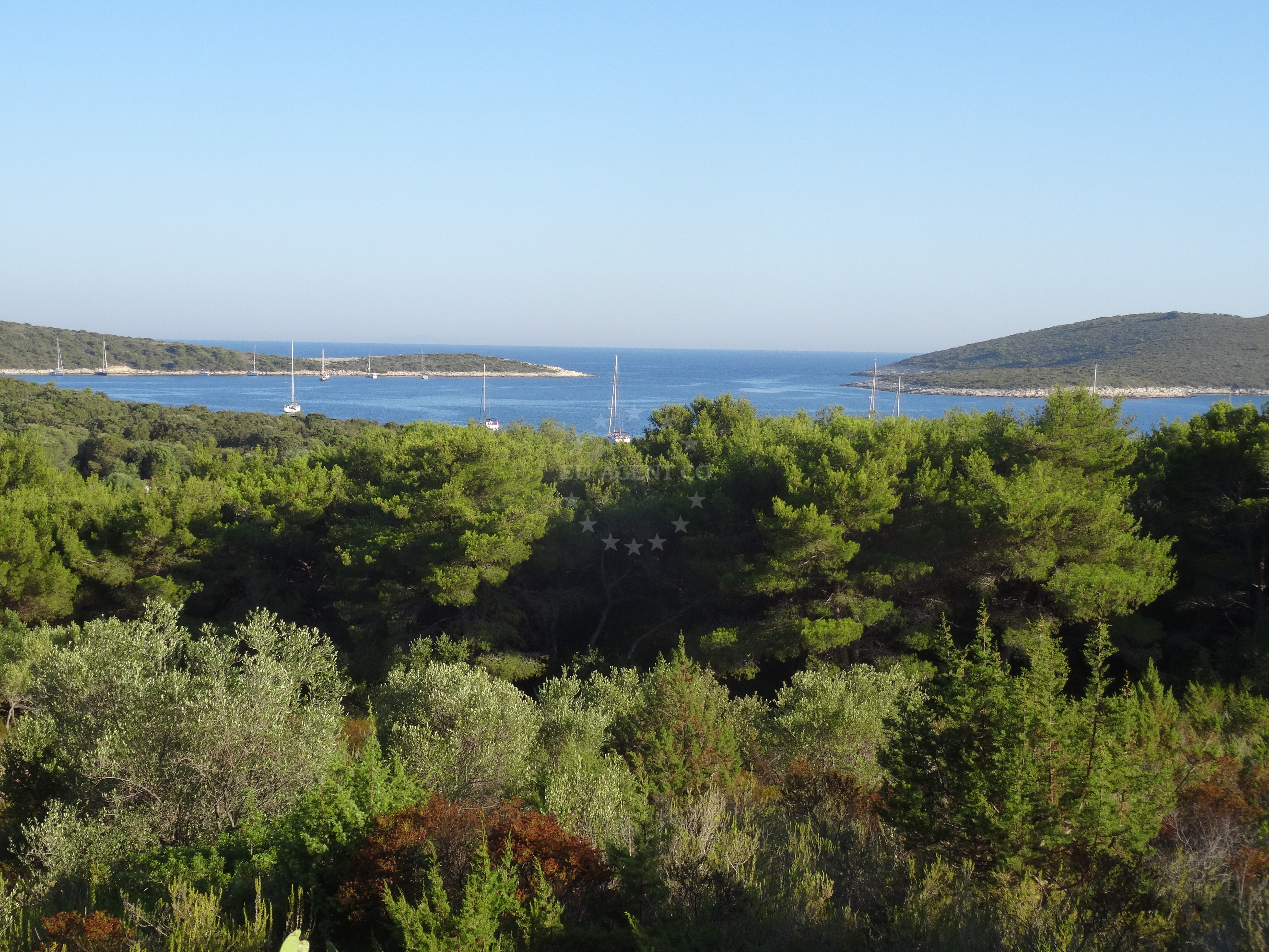 Additional view of Restaurant Paradiso / Soline buoy field in Buoy field in Vlaka on the island St. Klement, Central Dalmatia, Croatia photo 11
