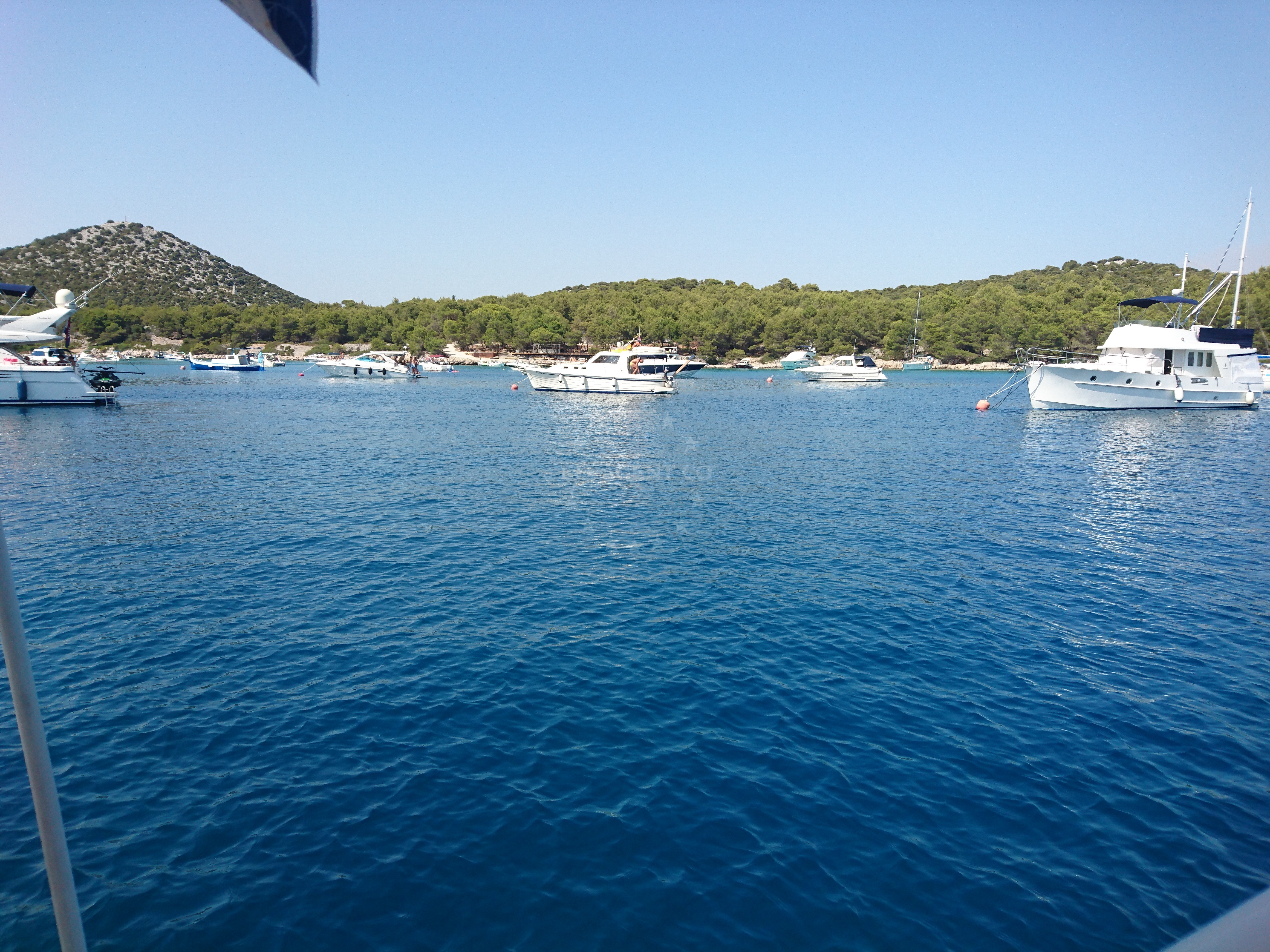 Sailboats moored at buoy field, Central Dalmatia