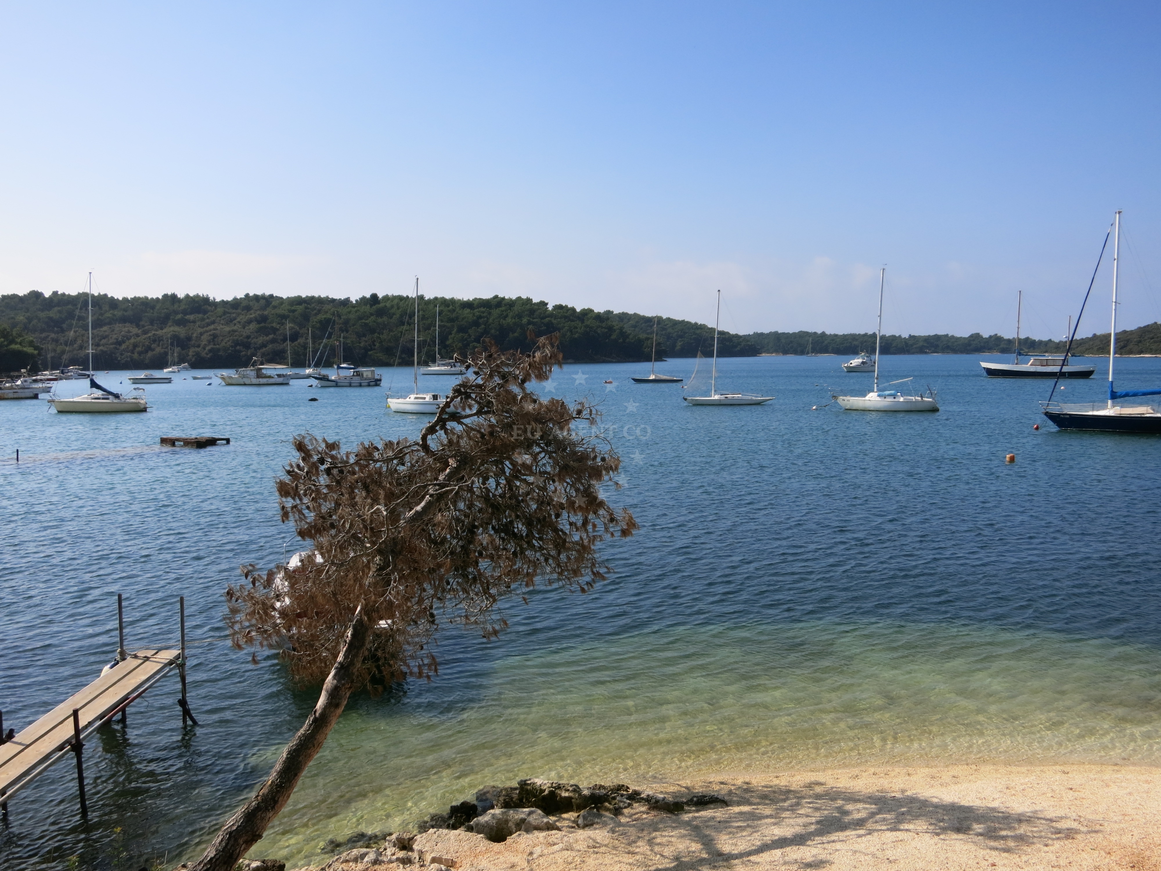 Mooring lines at Banjole buoy field, Croatia