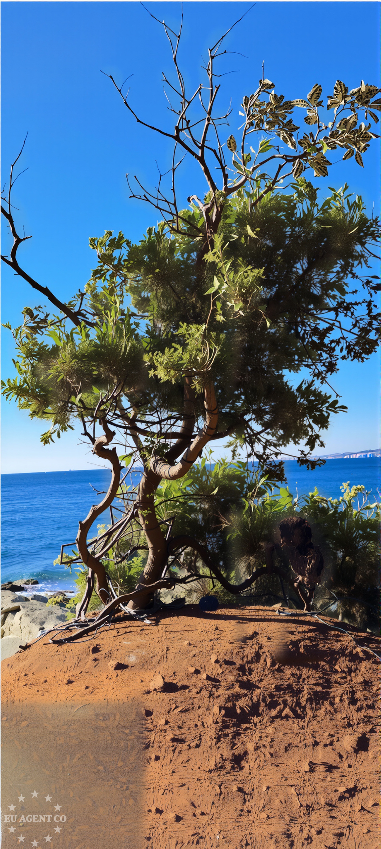 Additional view of Buoy field in Buoy field in Krk on the island Krk, Istria and Kvarner, Croatia photo 6
