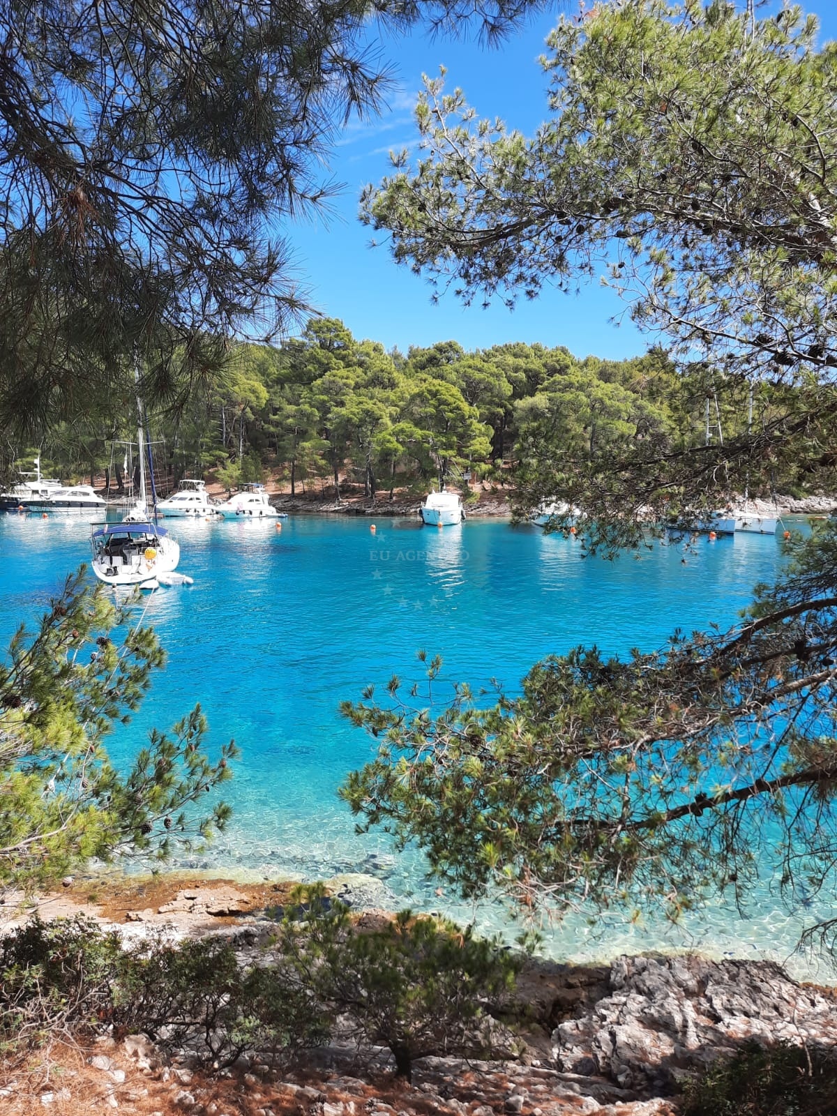 Additional view of Krivica buoy field in Buoy field in Veli Lošinj on the island Lošinj, Istria and Kvarner, Croatia photo 7