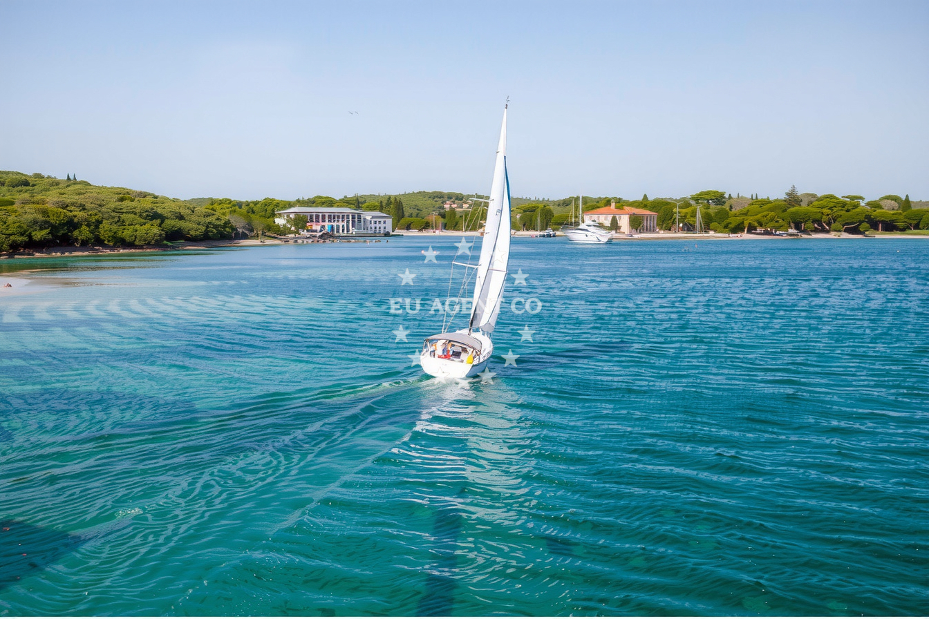 Additional view of Buoy field in Buoy field on the island Mali Brijun, Istria and Kvarner, Croatia photo 7