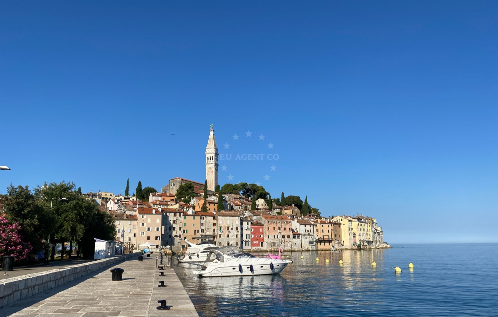 Rovinj skyline viewed from quay with Adriatic horizon