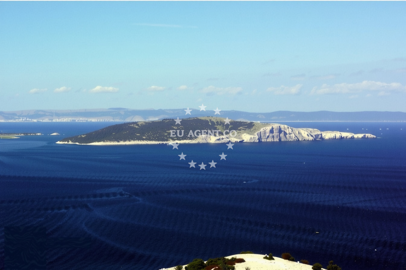 Additional view of Jetty buoy field in Jetty on the island Sveti Grgur, Istria and Kvarner, Croatia photo 11