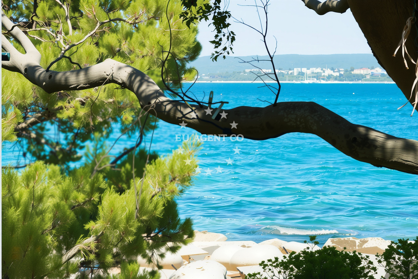 Additional view of Jadranka buoy field in Jetty on the island Veli Brijun, Istria and Kvarner, Croatia photo 8