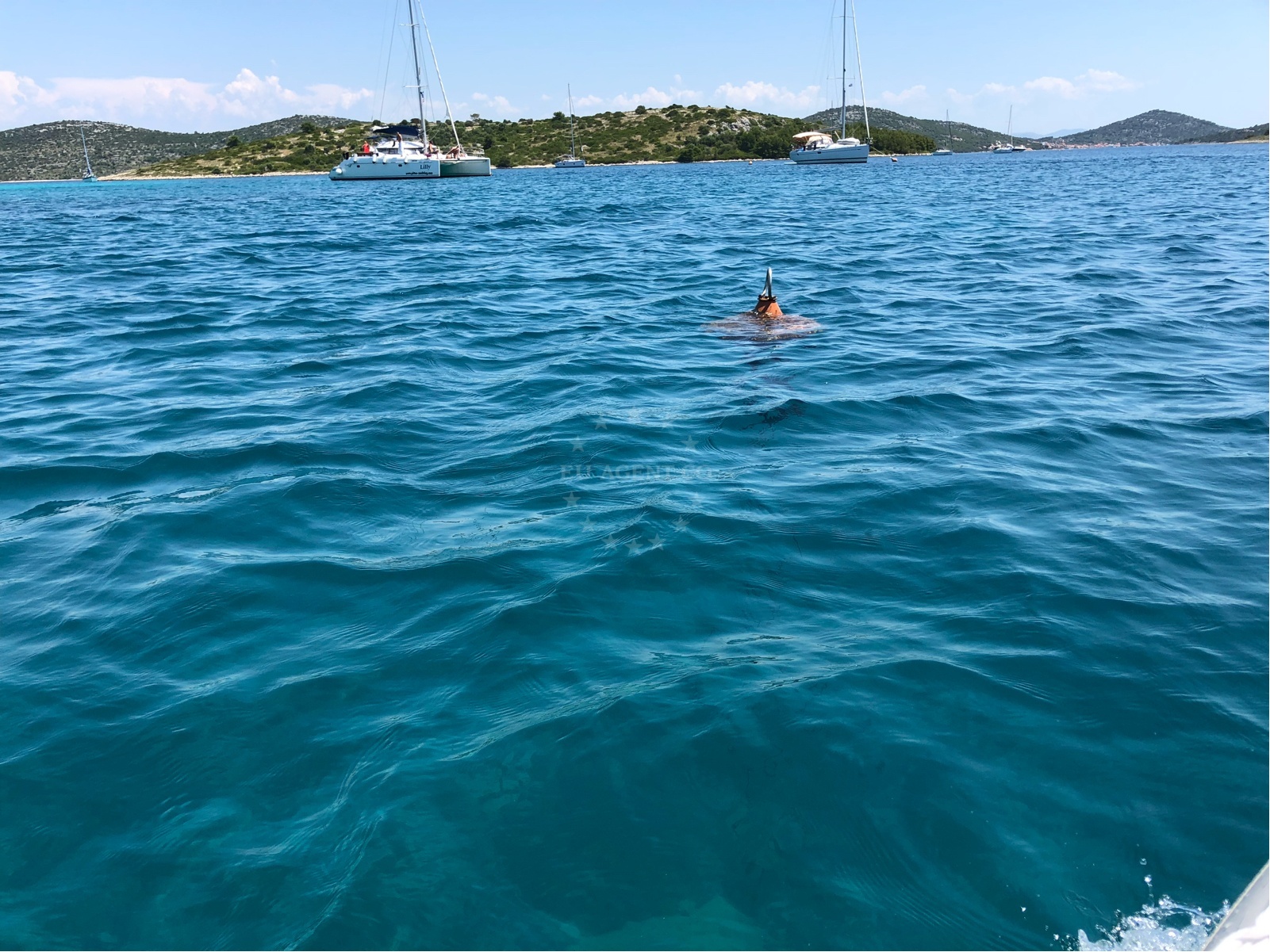 Nautical view of buoy field and surrounding coastline in North Dalmatia