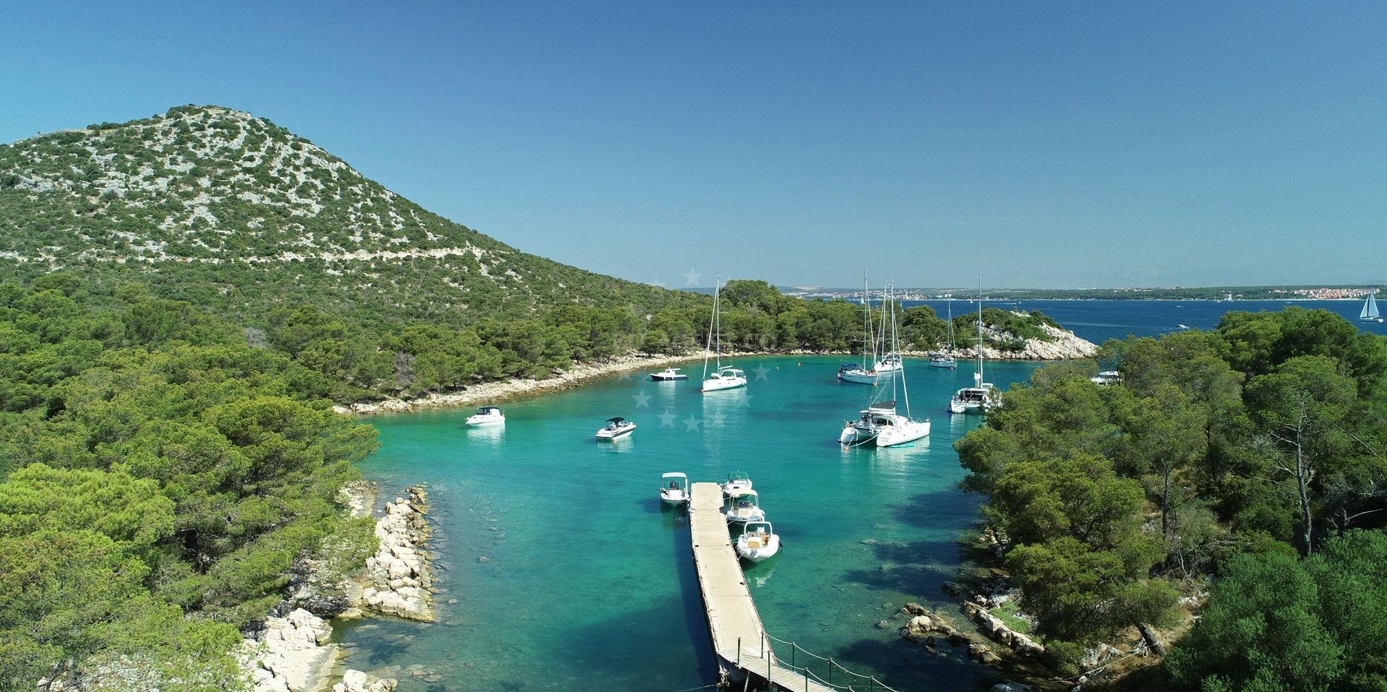 Pine-covered rocky shore at Zaklopica Bay