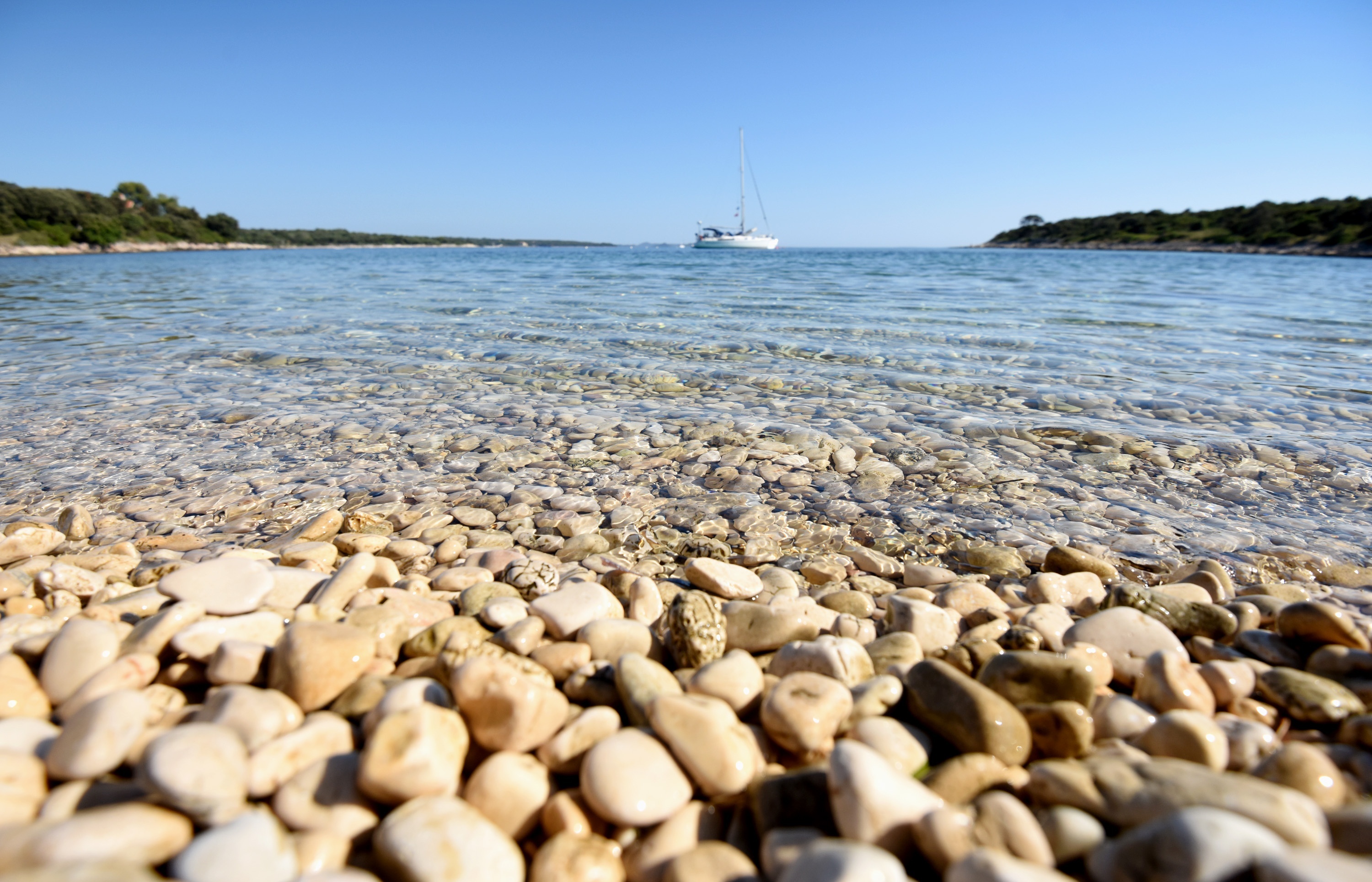 Pine forest shoreline at Papranica Bay, Silba Island