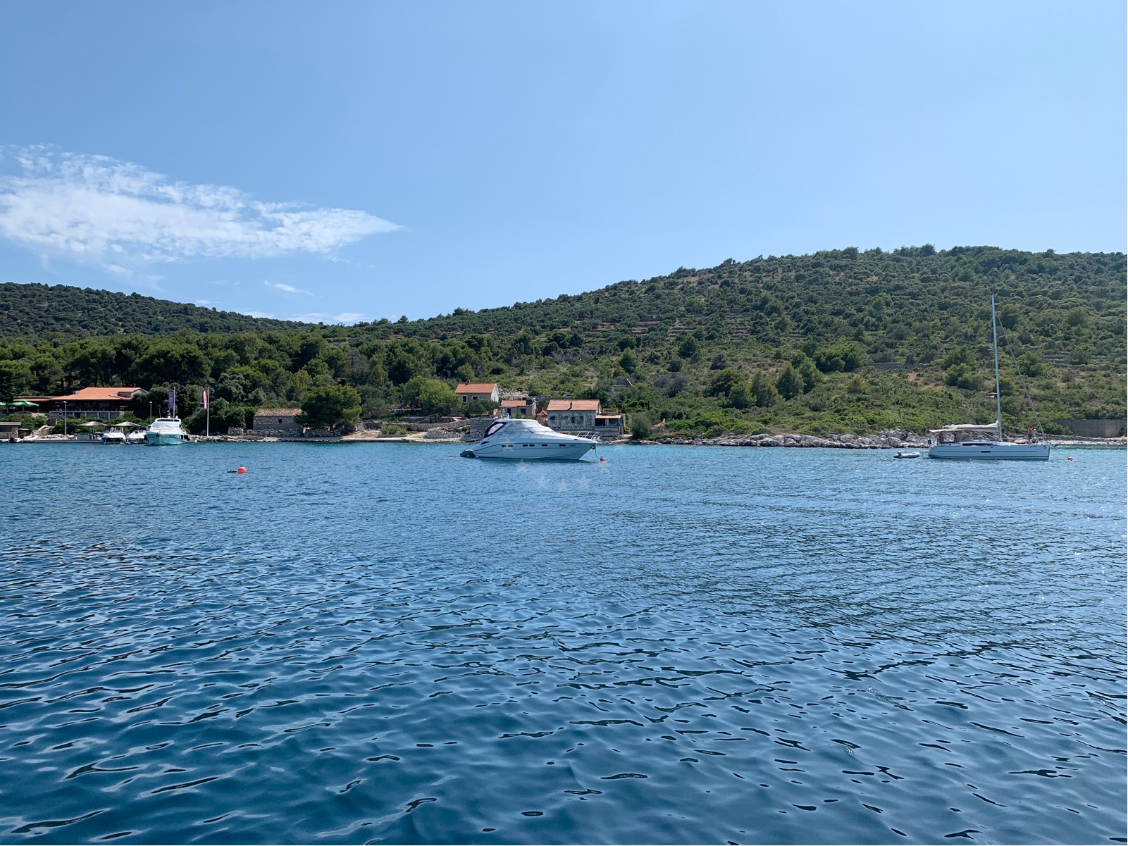 Buoy field in Pristanisce, Žut, North Dalmatia, managed by Konoba Bianco with stern-line berthing options.