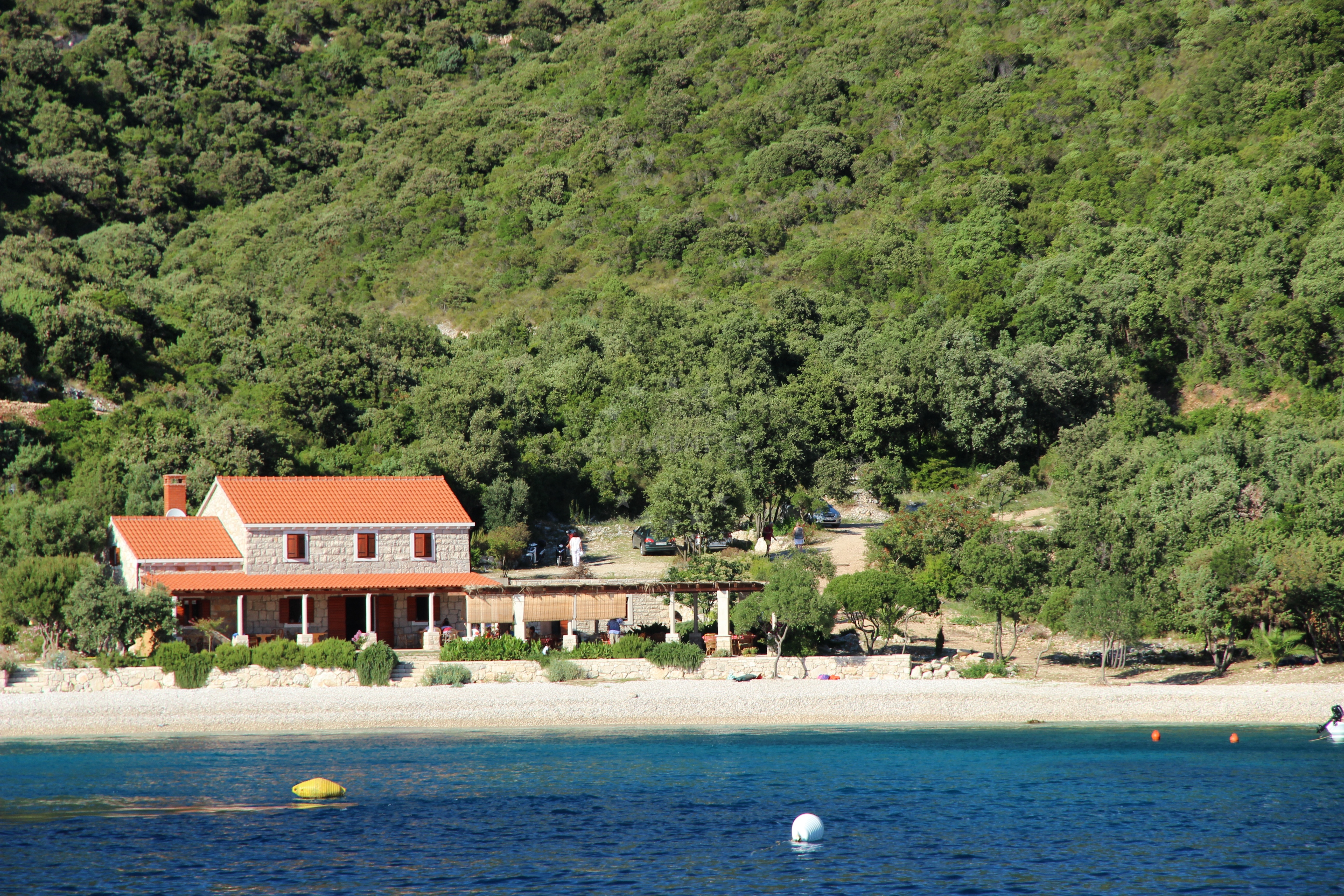 Pine forest backdrop of Duba Bay buoy field, South Dalmatia