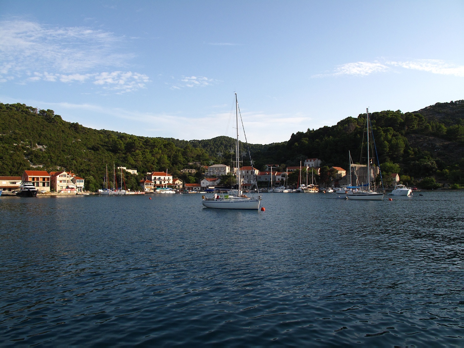Buoy field in Polace, Mljet, Croatia with Adriatic Sea view