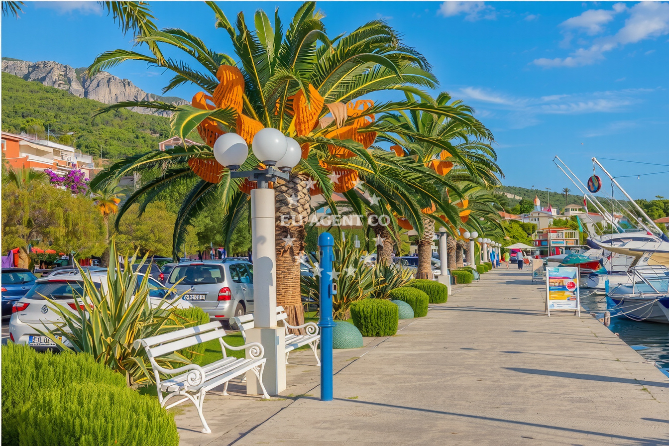 Additional view of Tučepi harbor in Harbour in Tučepi, Central Dalmatia, Croatia photo 6