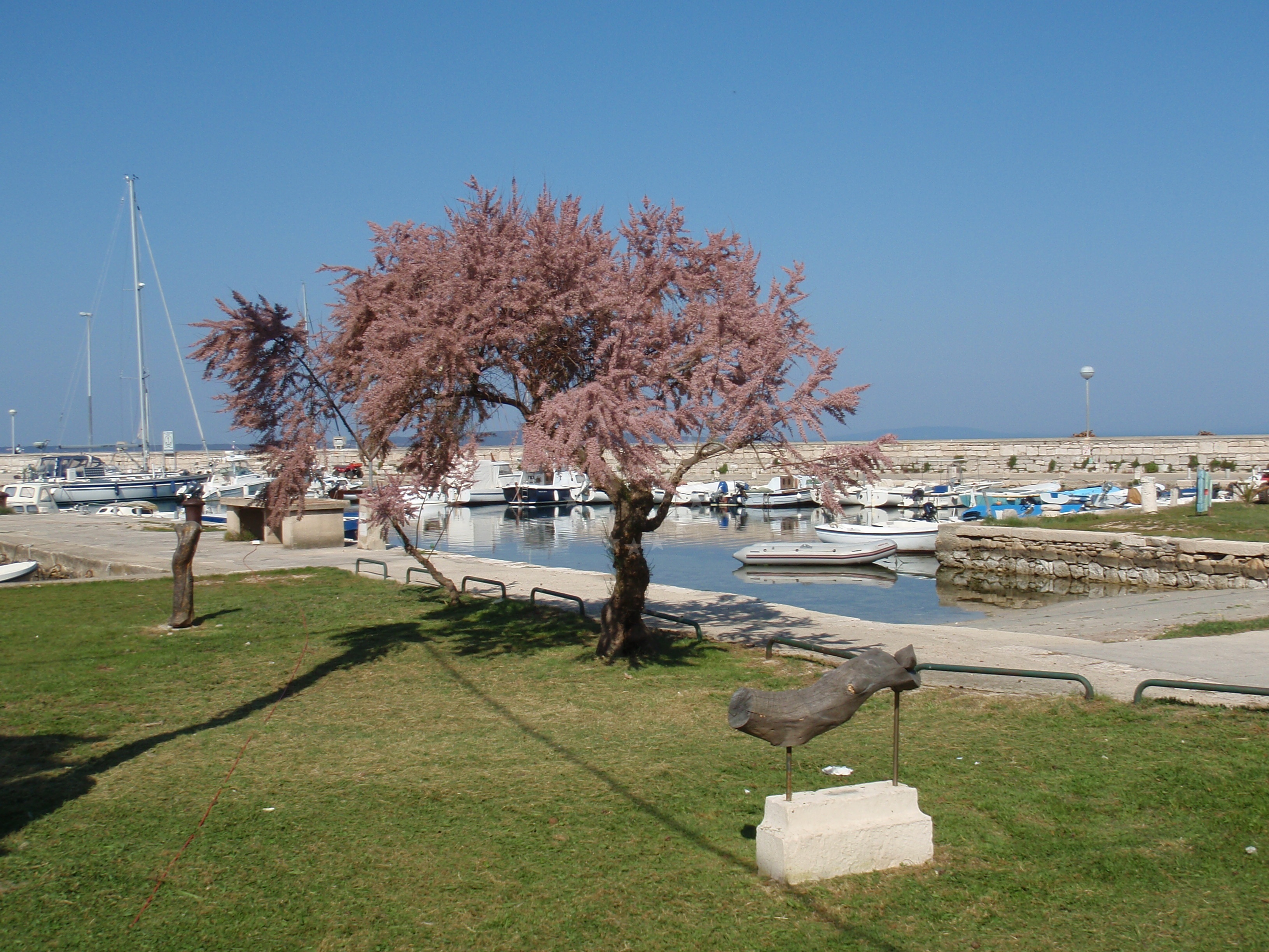 Stone shoreline and shallow waters near the harbor breakwater