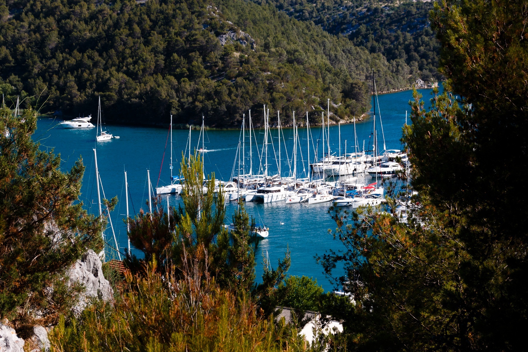 Additional view of Skradin harbor in Harbour in Skradin, North Dalmatia, Croatia photo 10