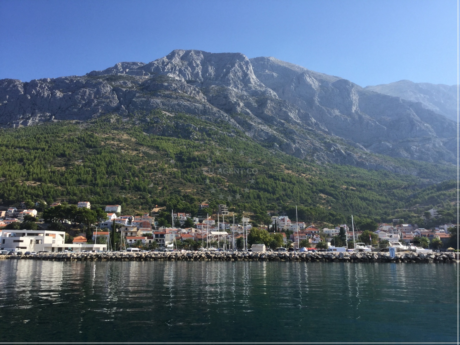 Berths at Marina Baska Voda with pine forest backdrop