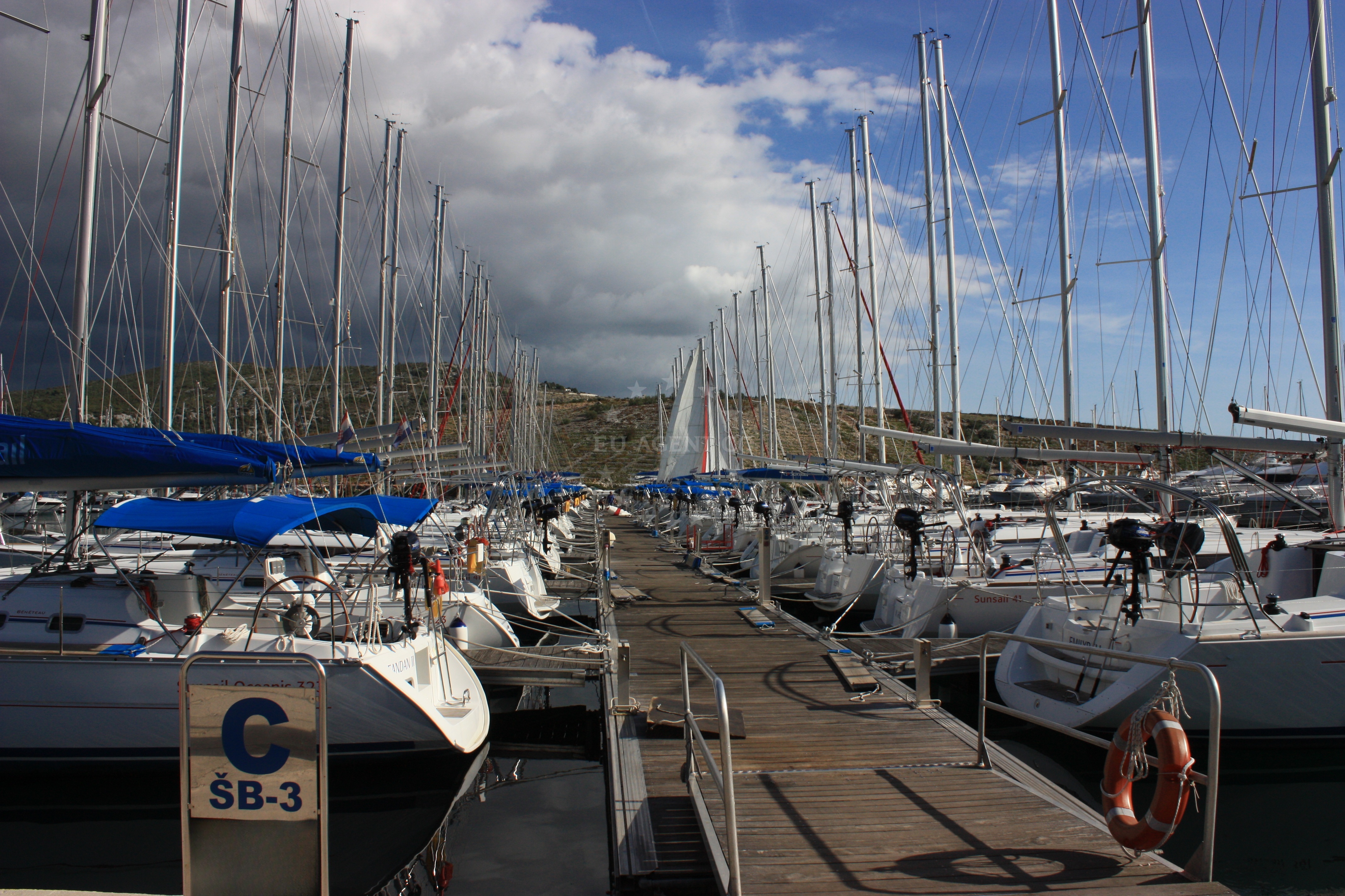 Historic grapevines surrounding Marina Kremik