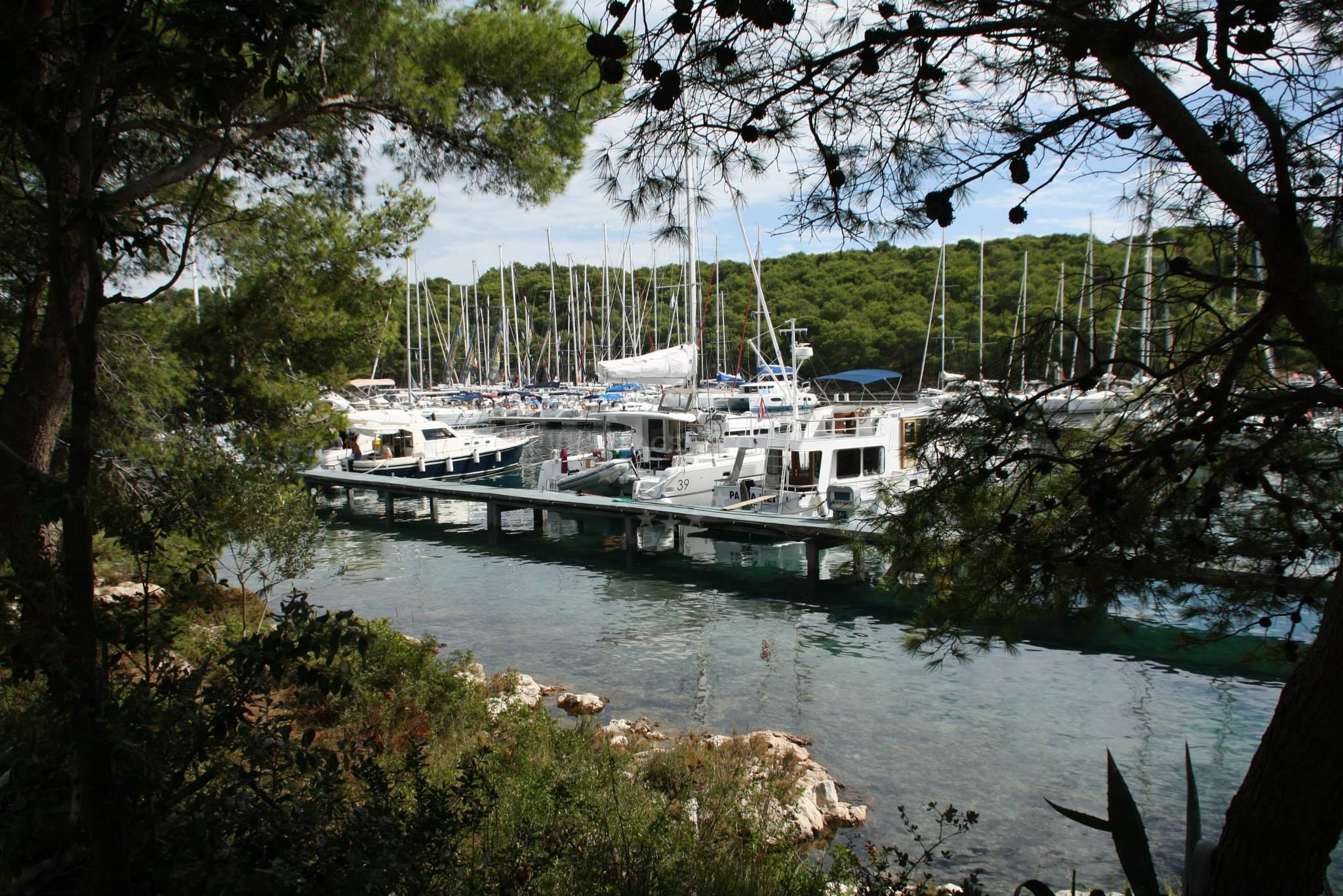 Additional view of ACI Marina Palmižana in Marina on the island St. Klement, Central Dalmatia, Croatia photo 10