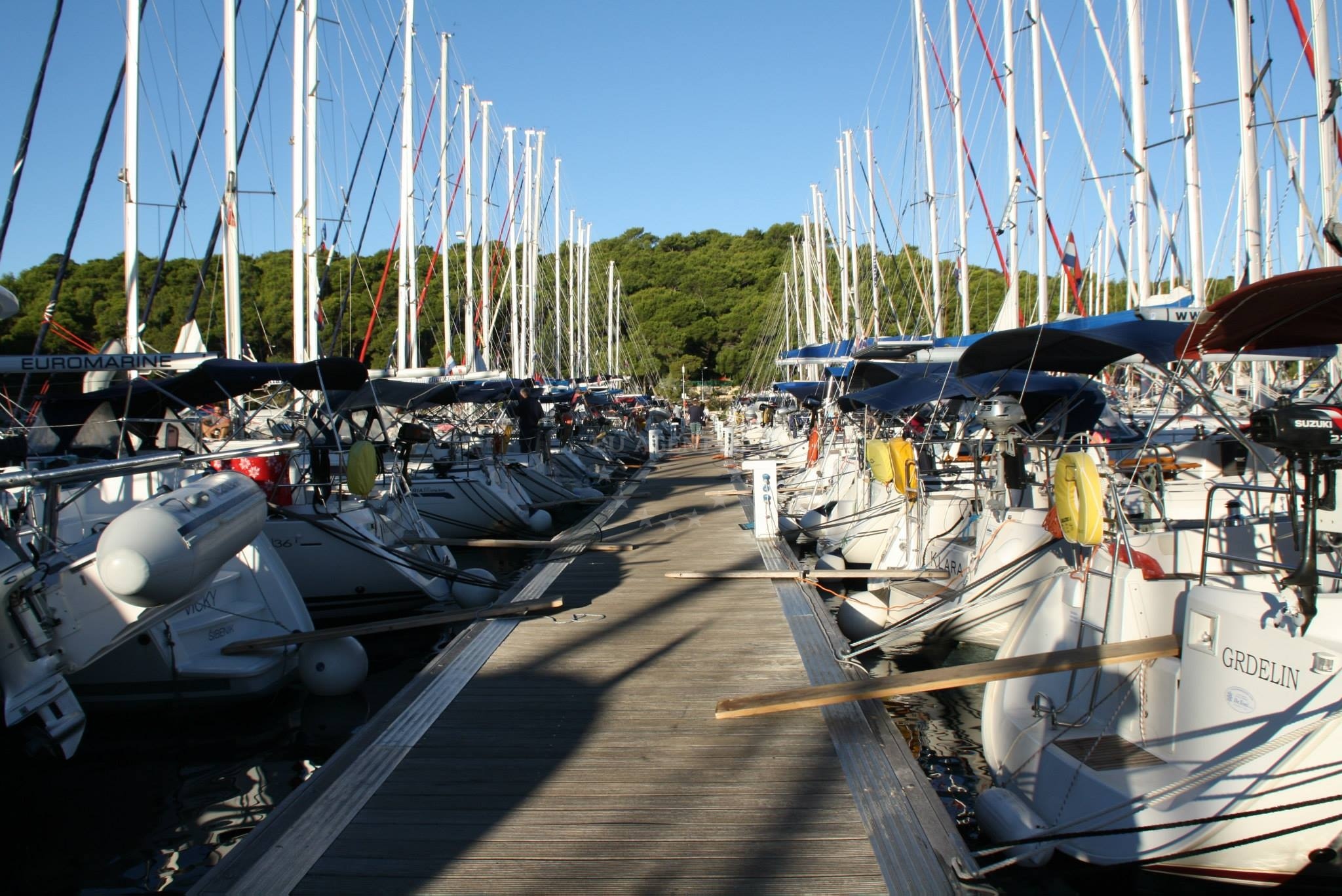 Additional view of ACI Marina Palmižana in Marina on the island St. Klement, Central Dalmatia, Croatia photo 14
