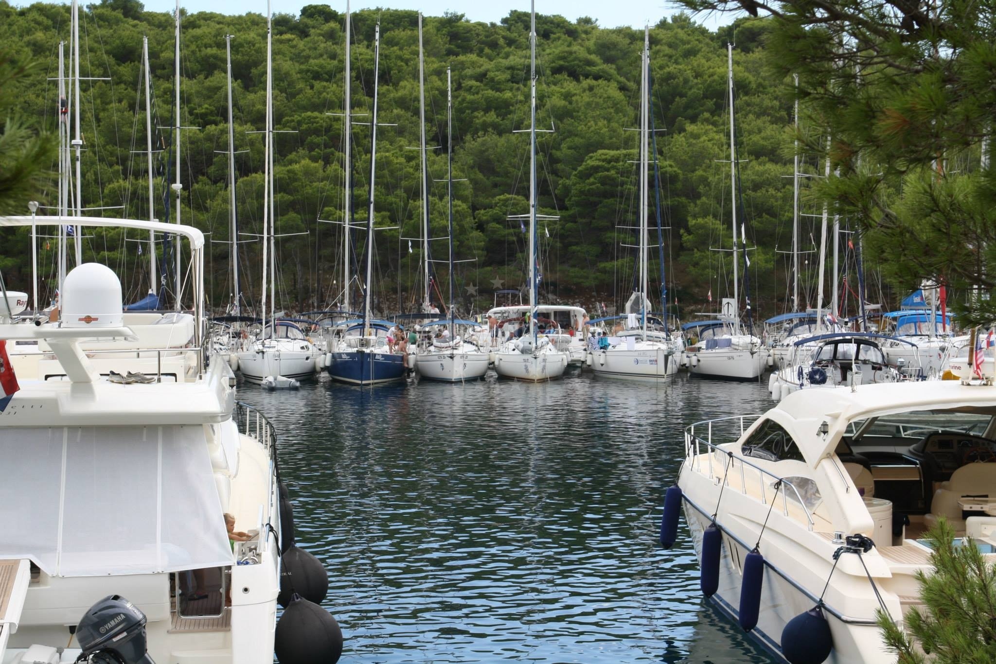 Additional view of ACI Marina Palmižana in Marina on the island St. Klement, Central Dalmatia, Croatia photo 15