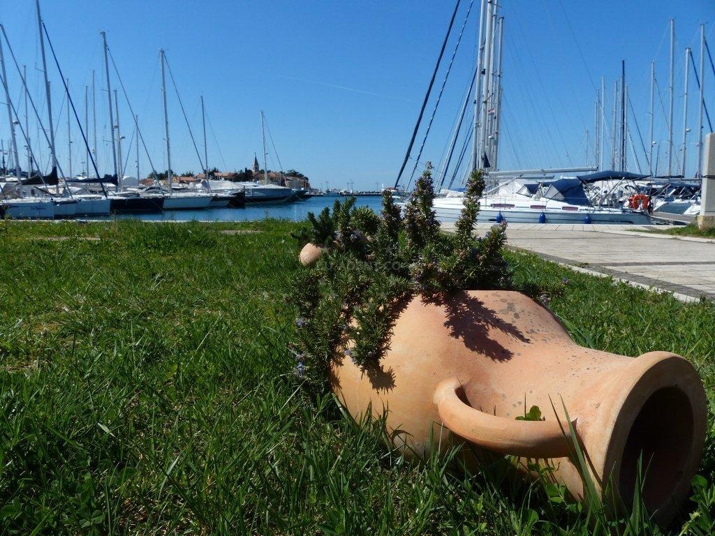 Additional view of Marina Nautica in Marina in Novigrad Istarski, Istria and Kvarner, Croatia photo 7