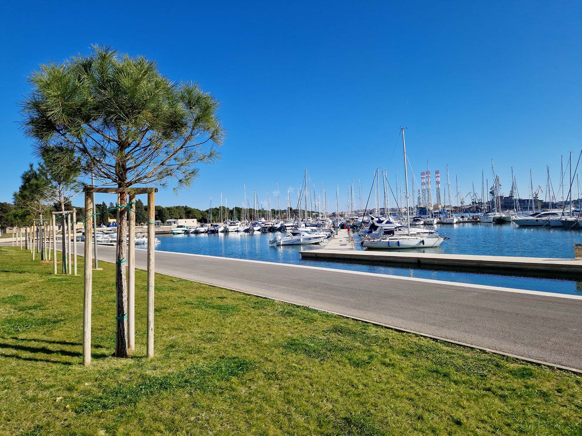 Marina Polesana's entrance with Adriatic views