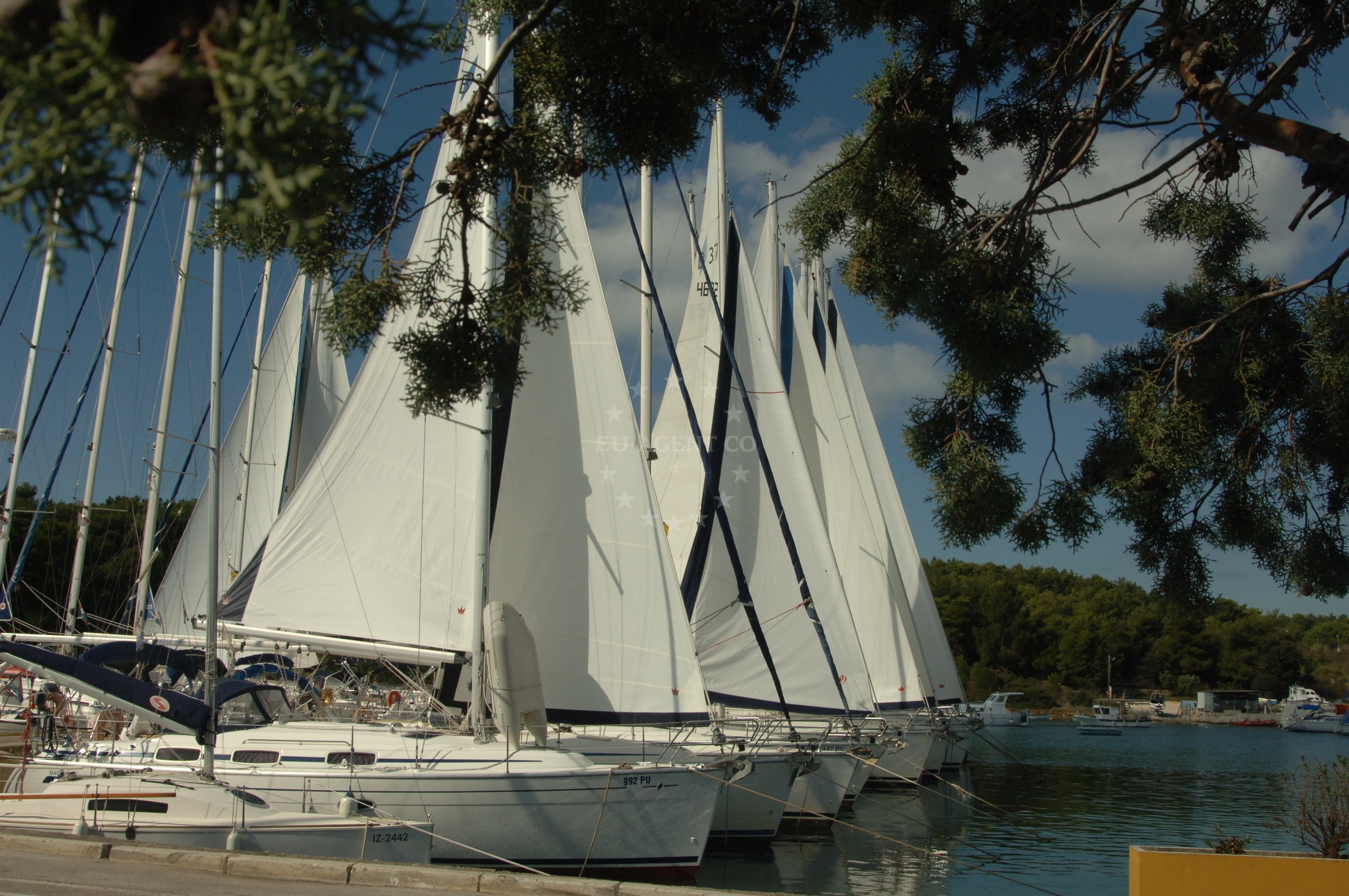 Yachts docked at Marina Veruda with the Adriatic Sea and Pula's skyline in the background