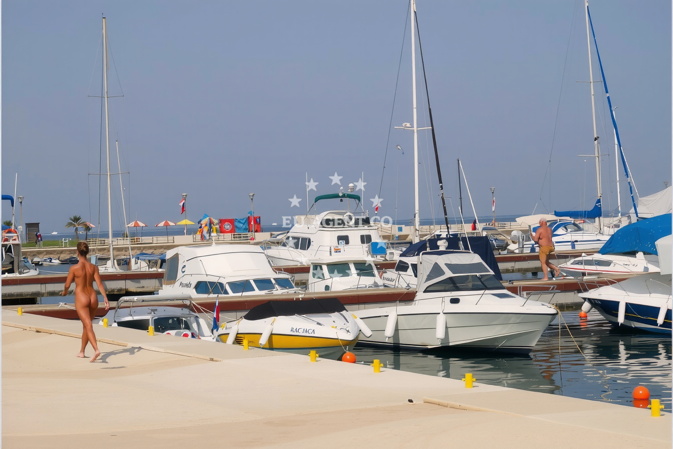 Approach and location view of Marina Valalta in Marina in Rovinj, Istria and Kvarner, Croatia photo 3