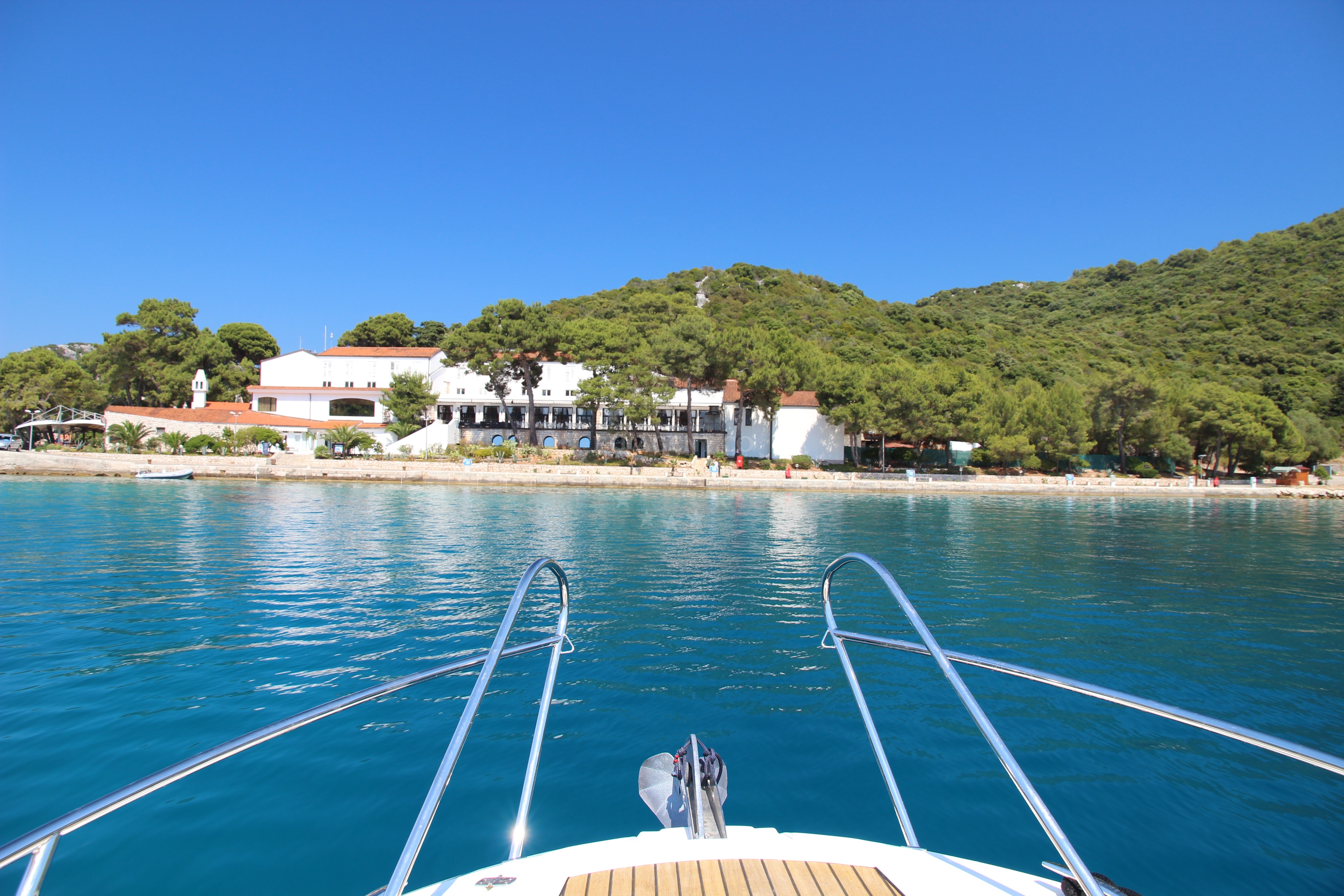 Lush pine forest backdrop at Marina Solitudo, Lastovo