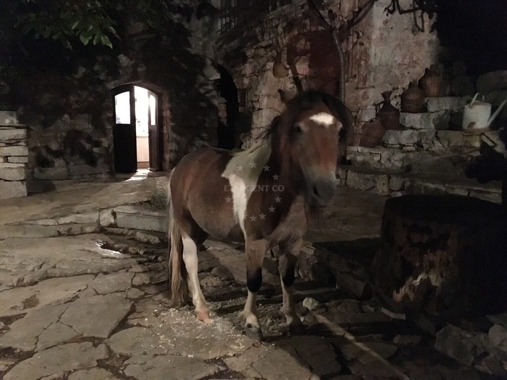 Podhume Guesthouse Restaurant exterior with historic stone walls and a grazing pony