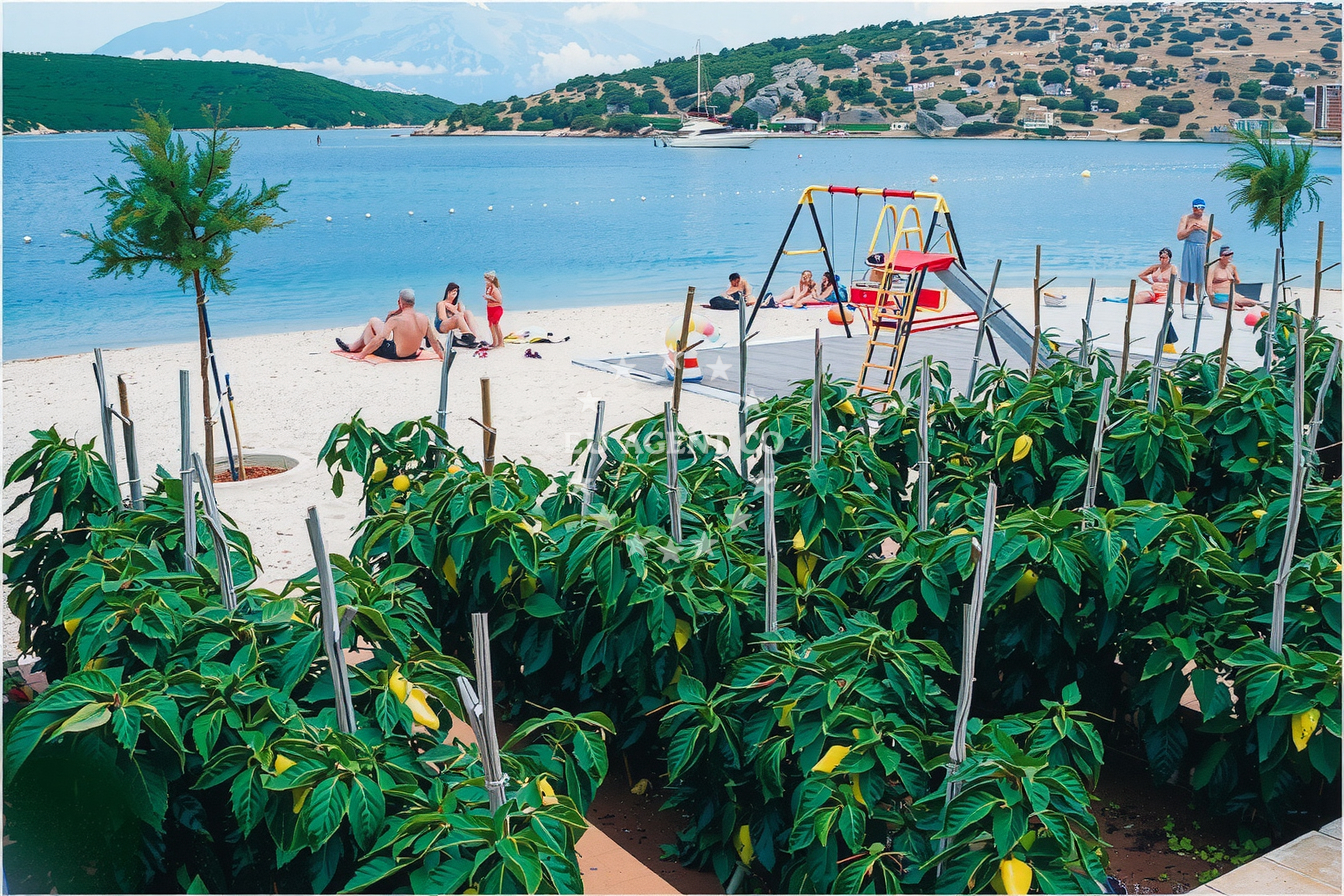 Additional view of Hideaway Pipo restaurant in Restaurant in Povlja on the island Brač, Central Dalmatia, Croatia photo 15