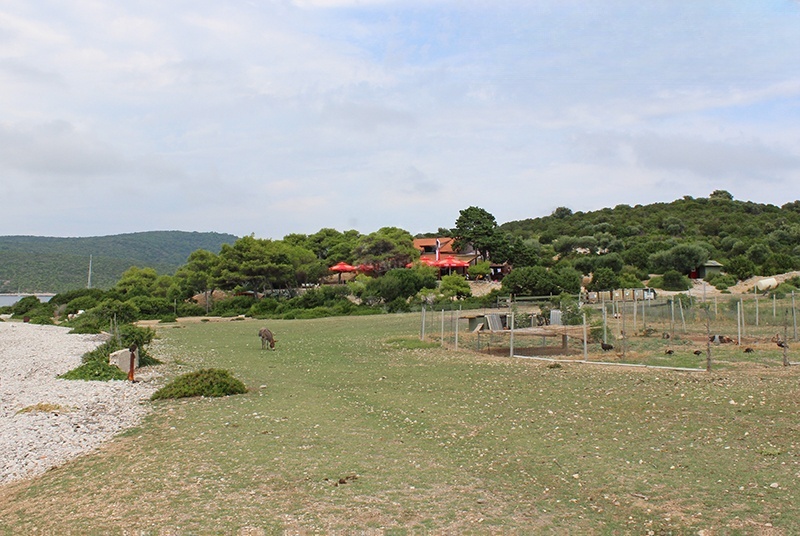 Additional view of Konoba Budikovac restaurant in Restaurant on the island Budikovac Veli, Central Dalmatia, Croatia photo 6