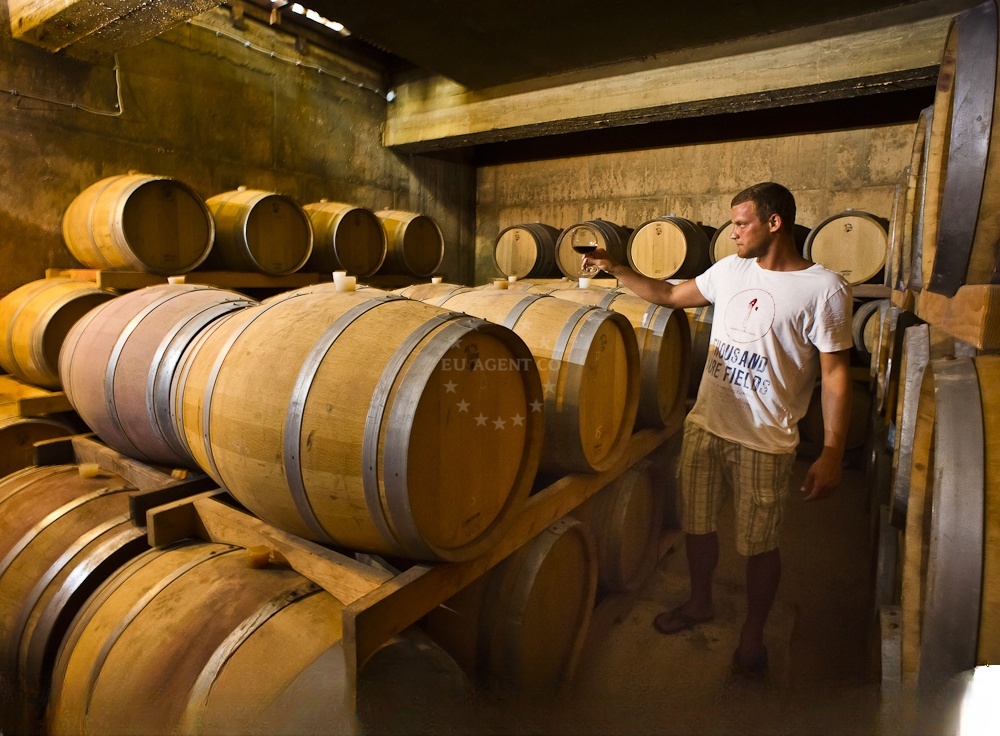 Marine life visibility through glass panels at Bilo Idro's wine cellar