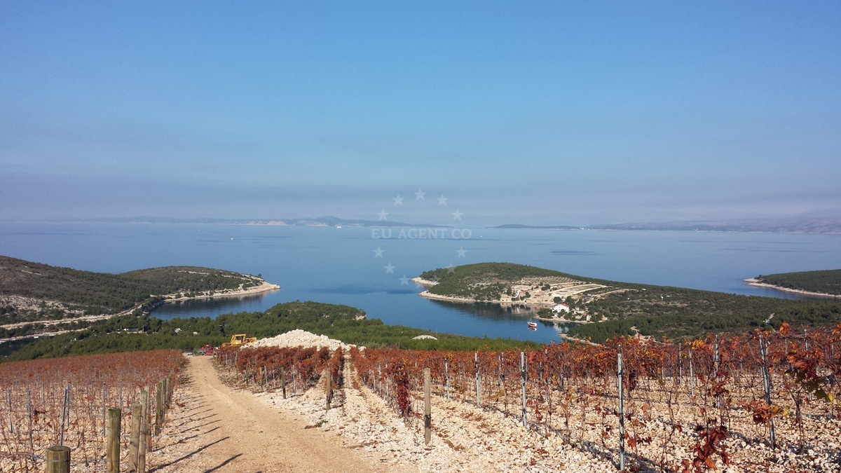 Additional view of Konoba Arsenol restaurant in Restaurant in Vira on the island Hvar, Central Dalmatia, Croatia photo 7